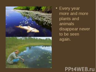 Every year more and more plants and animals disappear never to be seen again. Ev