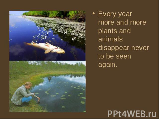 Every year more and more plants and animals disappear never to be seen again. Every year more and more plants and animals disappear never to be seen again.