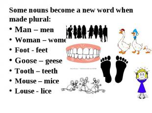 Man – men Man – men Woman – women Foot - feet Goose – geese Tooth – teeth Mouse