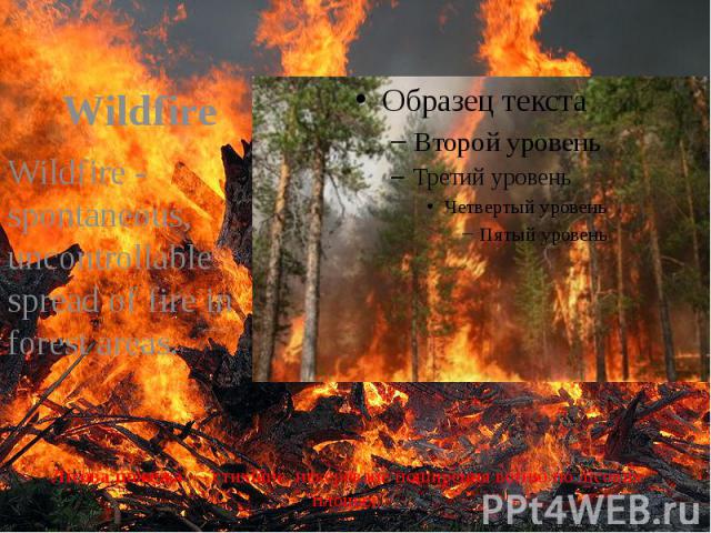 Лісова пожежа — стихійне, некероване поширення вогню по лісових площах. Wildfire Wildfire - spontaneous, uncontrollable spread of fire in forest areas.