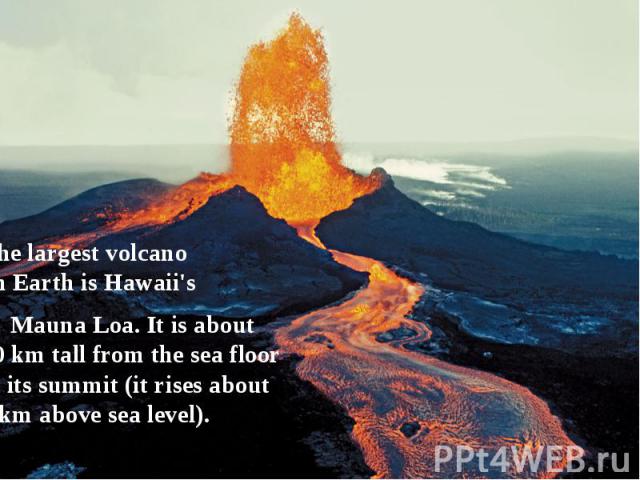 The largest volcano on Earth is Hawaii's  Mauna Loa. It is about 10 km tall from the sea floor to its summit (it rises about 4 km above sea level).
