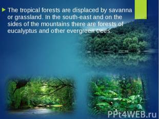 The tropical forests are displaced by savanna or grassland. In the south-east an