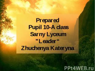 Prepared Pupil 10-A class Sarny Lyceum &quot;Leader“ Zhuchenya Kateryna