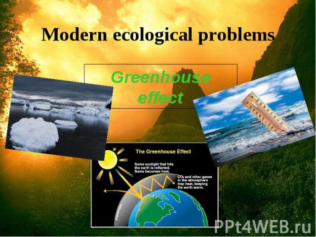 Modern ecological problems
