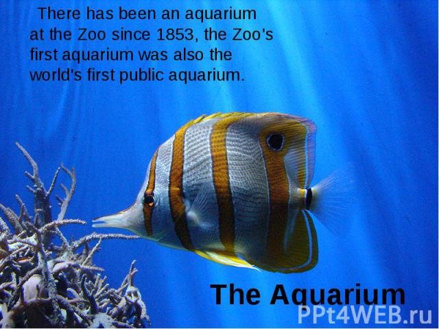 The Aquarium There has been an aquarium at the Zoo since 1853, the Zoo's first aquarium was also the world's first public aquarium.