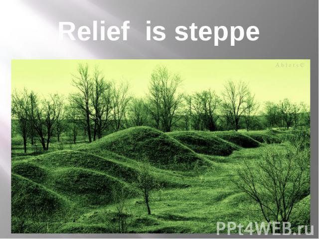 Relief is steppe