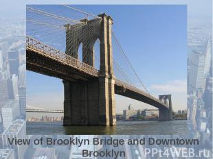 View of Brooklyn Bridge and Downtown Brooklyn