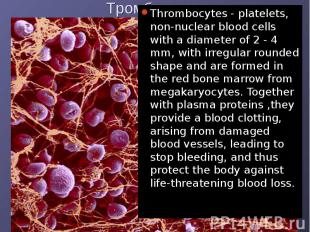 Thrombocytes - platelets, non-nuclear blood cells with a diameter of 2 - 4 mm, w