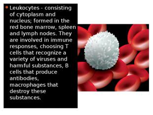 Leukocytes - consisting of cytoplasm and nucleus; formed in the red bone marrow,