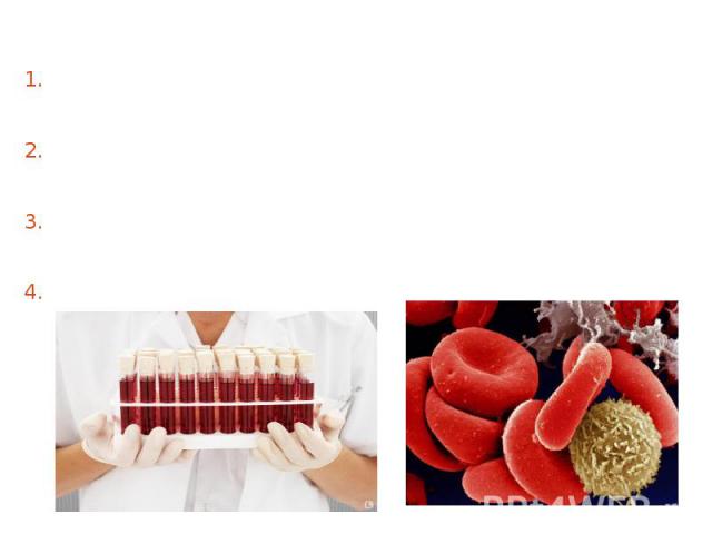 There are four blood types: There are four blood types: no agglutinogens and agglutinins from both - (0) also known as I; only agglutinogens A and beta agglutinins - (A) also known as II; only B agglutinogens and agglutinins alpha - (B) also known a…