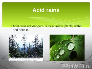 Acid rains Acid rains are dangerous for animals, plants, water and people.