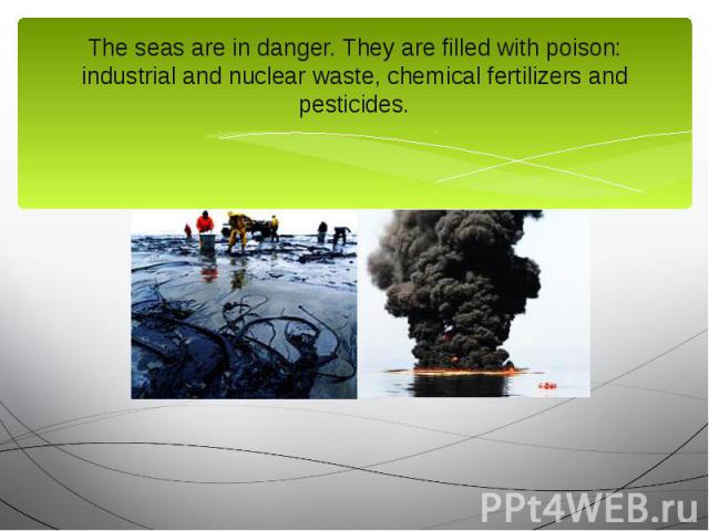 The seas are in danger. They are filled with poison: industrial and nuclear waste, chemical fertilizers and pesticides.