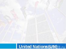  United Nations (UN)