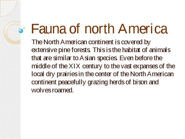 Fauna of north Аmerica The North American continent is covered by extensive pine forests. This is the habitat of animals that are similar to Asian species. Even before the middle of the XIX century to the vast expanses of the local dry prairies in t…