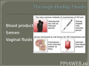 Blood products Blood products Semen Vaginal fluids