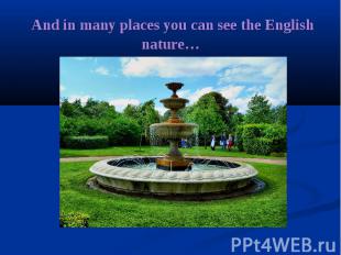 &nbsp;And in many places you can see the English nature…