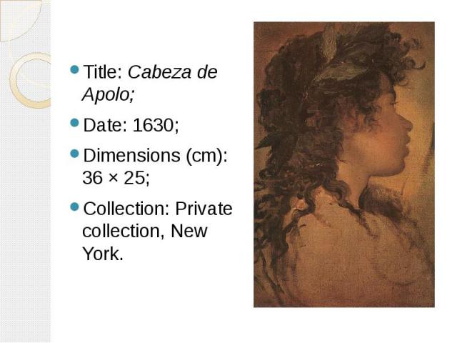 Title: Cabeza de Apolo; Title: Cabeza de Apolo; Date: 1630; Dimensions (cm): 36 × 25; Collection: Private collection, New York.