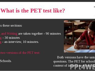 What is the PET test like?