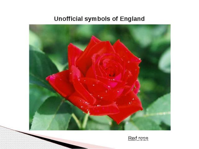 Unofficial symbols of England