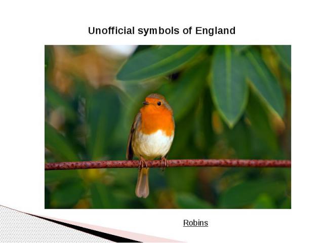Unofficial symbols of England