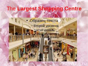 The Largest Shopping Centre