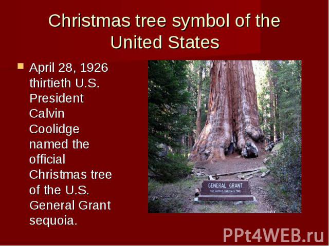 Christmas tree symbol of the United States April 28, 1926 thirtieth U.S. President Calvin Coolidge named the official Christmas tree of the U.S. General Grant sequoia.