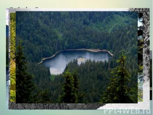 3.&nbsp;Lake Synevyr The picturesque corner of Ukrainian Carpathians lake locate