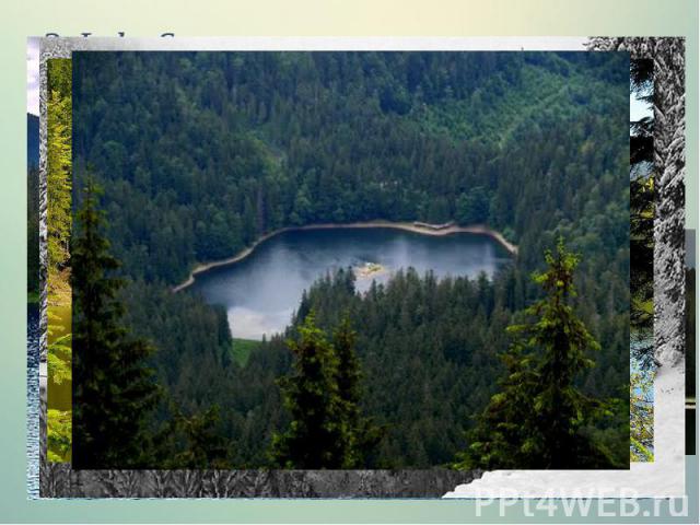 3. Lake Synevyr The picturesque corner of Ukrainian Carpathians lake located at an altitude of nearly a thousand meters, has an interesting legend about the origin of its name.