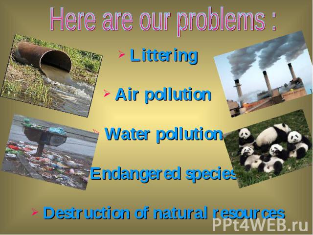 Littering Littering Air pollution Water pollution Endangered species Destruction of natural resources