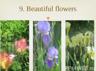 9. Beautiful flowers