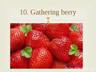 10. Gathering berry