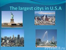 The largest citys in U.S.A