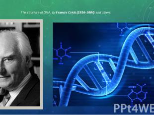 The structure of DNA, by Francis Crick (1916–2004) and others. The structure of