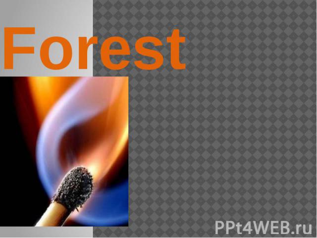 Forest fires
