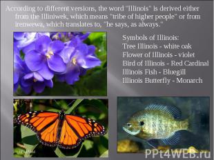 According to different versions, the word &quot;Illinois&quot; is derived either