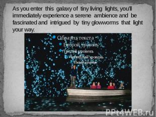 As you enter this galaxy of tiny living lights, you'll immediately experience a