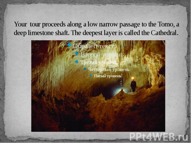 Your tour proceeds along a low narrow passage to the Tomo, a deep limestone shaft. The deepest layer is called the Cathedral.