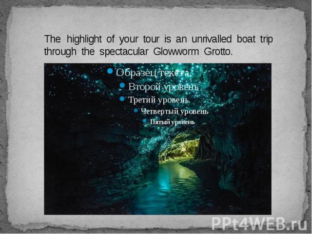 The highlight of your tour is an unrivalled boat trip through the spectacular Glowworm Grotto.