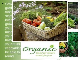 Grow an organic garden. Commercial food transportation and storage is energy-int