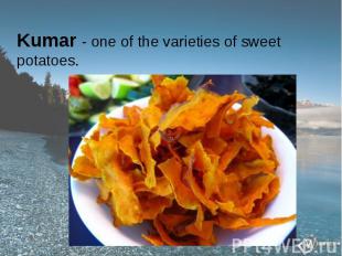 Kumar - one of the varieties of sweet potatoes. Kumar - one of the varieties of