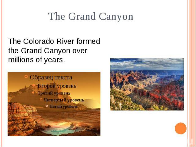 The Grand Canyon