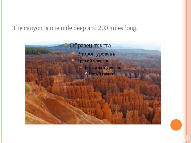 The canyon is one mile deep and 200 miles long.