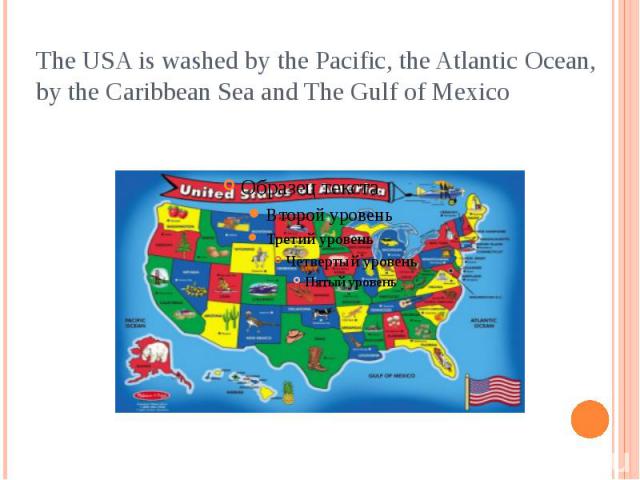 The USA is washed by the Pacific, the Atlantic Ocean, by the Caribbean Sea and The Gulf of Mexico