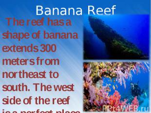 The reef has a shape of banana extends 300 meters from northeast to south. The w