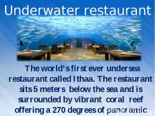 The world’s first ever undersea restaurant called Ithaa. The restaurant sits 5 m
