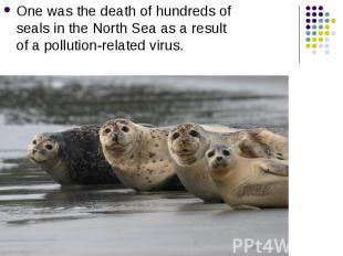 One was the death of hundreds of seals in the North Sea as a result of a polluti