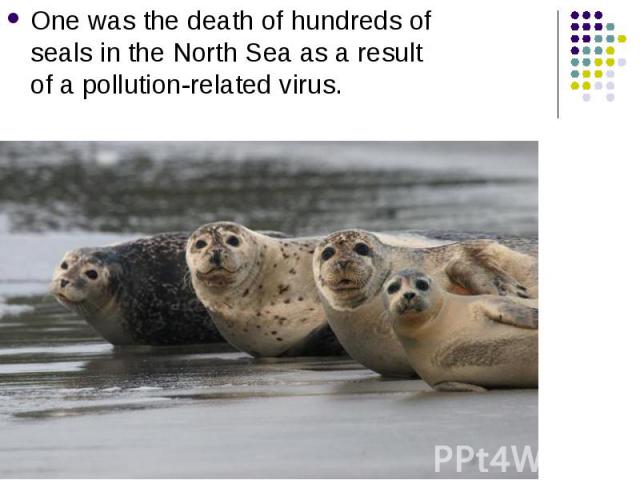 One was the death of hundreds of seals in the North Sea as a result of a pollution-related virus. One was the death of hundreds of seals in the North Sea as a result of a pollution-related virus.