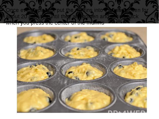Once evenly placed, put the muffins into the ready oven for about 20 minutes until they are golden and spring back when you press the center of the muffins Once evenly placed, put the muffins into the ready oven for about 20 minutes until they are g…