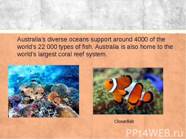 Australia’s diverse oceans support around 4000 of the world’s 22 000 types of fish. Australia is also home to the world’s largest coral reef system.