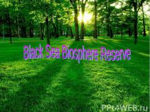 Black Sea Biosphere Reserve
